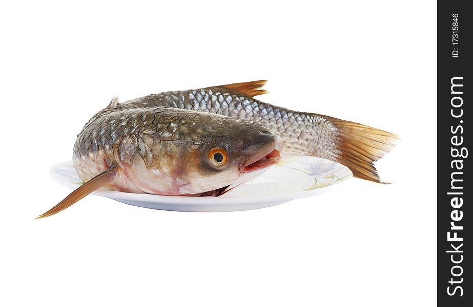 Raw Fish Isolated On White Background