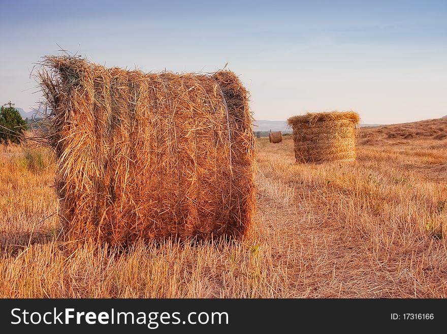 Golden Hay Bales In The Countryside