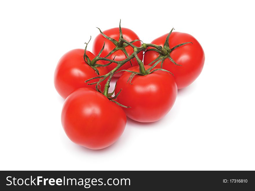 Red tomatos on the white background. Red tomatos on the white background