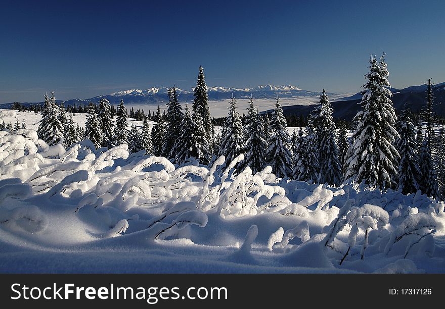 View of snowy Middle High Tatras Slovakia