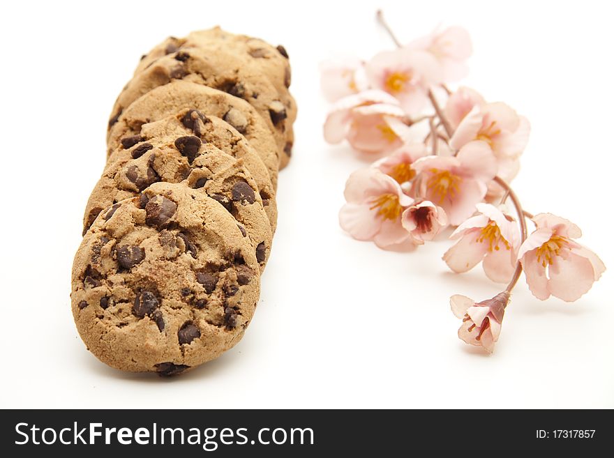 Cookies with chocolate and flower blossom. Cookies with chocolate and flower blossom