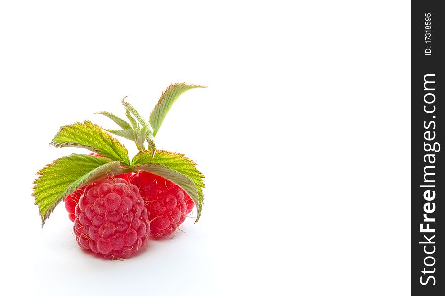 Big juicy raspberries on a white background. Big juicy raspberries on a white background