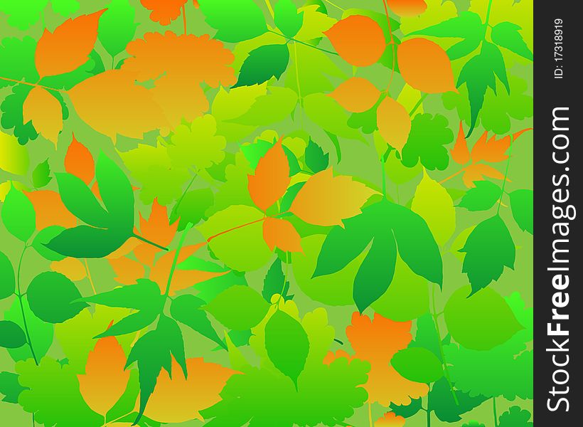 Leaves abstract background .