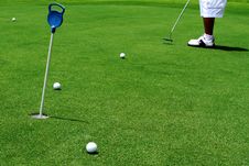 Golfer Putting A Golf Ball Stock Image