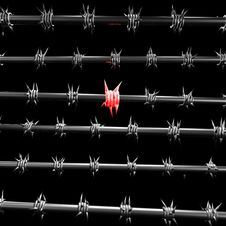 Barbed Wire Royalty Free Stock Photography