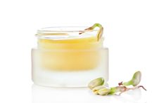 Cream With Sprout Of Sunflower Stock Photos Cream With Sprout Of Sunflower Stock Photos