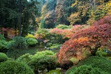 Wooden Bridge, Japanese Garden Stock Photos Wooden Bridge, Japanese Garden Stock Photos