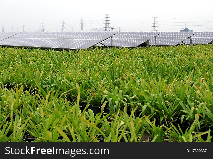 Solar cell and green garden