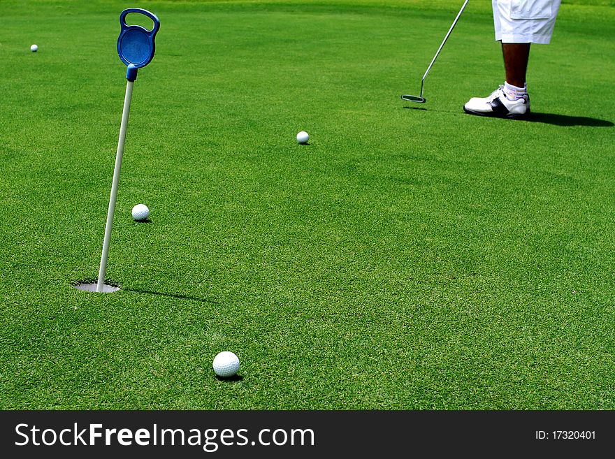 Golfer putting a golf ball in golf course