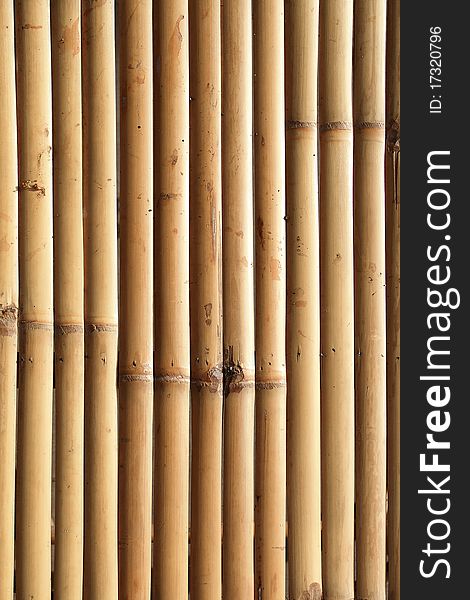 Bamboo texture background in Thailand. Bamboo texture background in Thailand