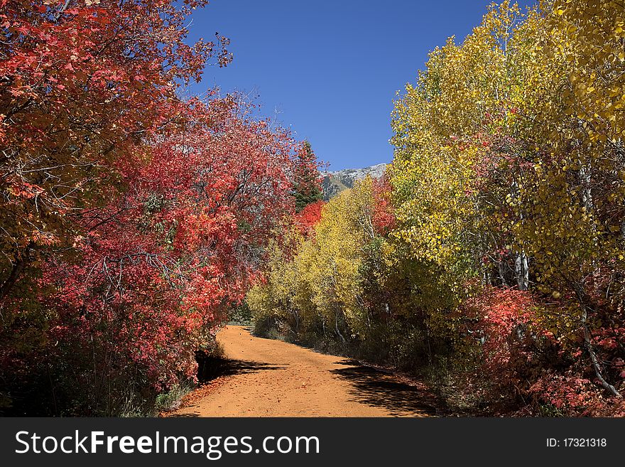 Rocky Mountains in the fall with blue sky. Rocky Mountains in the fall with blue sky