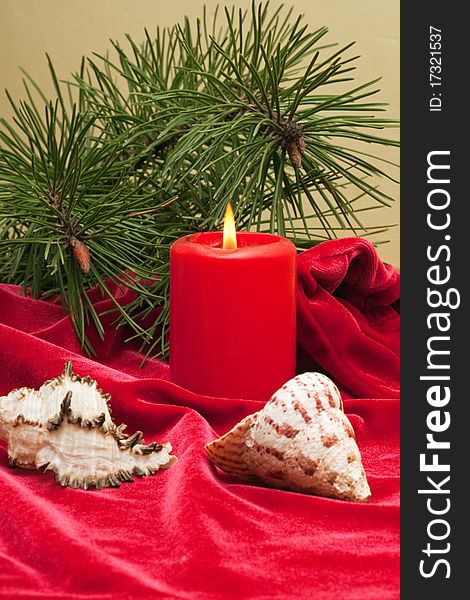 Christmas tree decoration on the red surface of the candle and sea shells. Christmas tree decoration on the red surface of the candle and sea shells