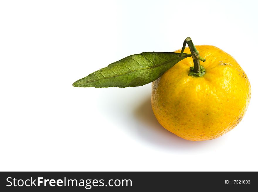 Small size of yellow orange kind isolated on white background