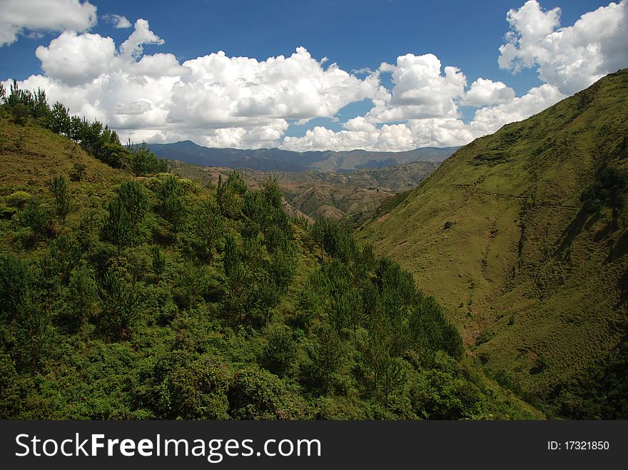 Typical green landscape of Ecuador. Typical green landscape of Ecuador