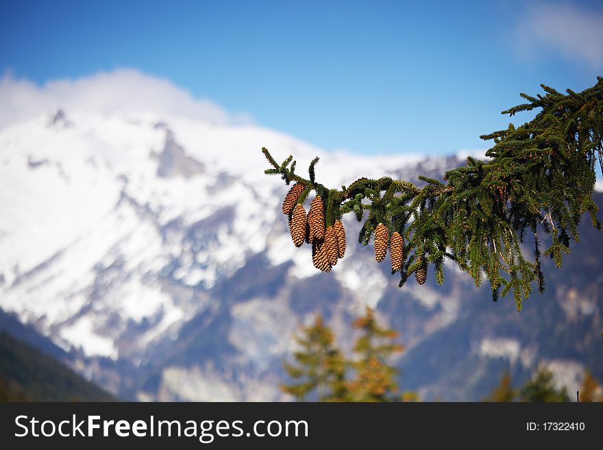 Spring alps mountains scene background