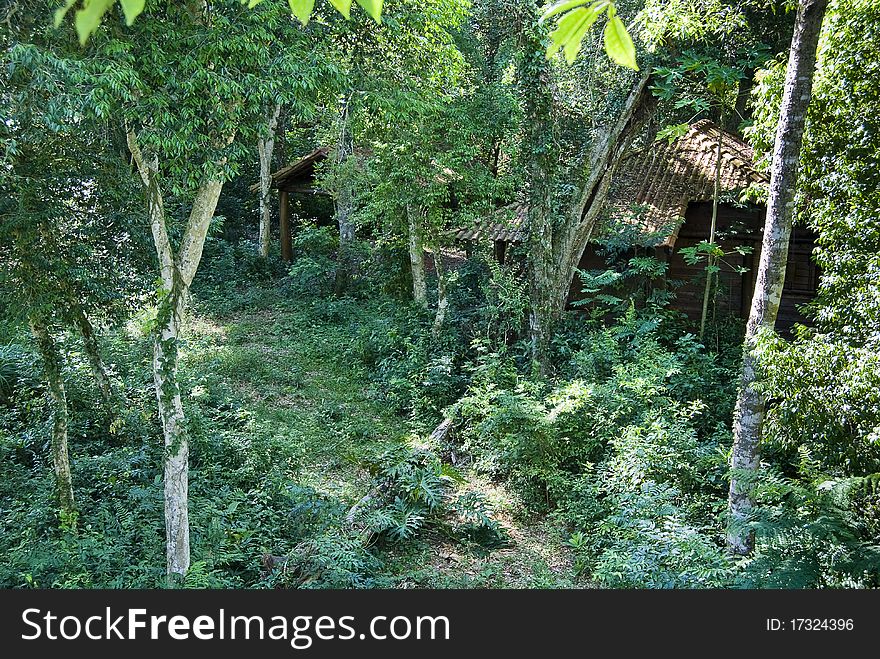 Wooden house in the Brazilian Atlantic rainforest, northwest of Parana State. Wooden house in the Brazilian Atlantic rainforest, northwest of Parana State.