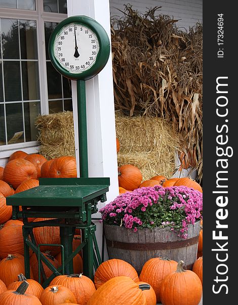 Pumpkin Time at the Market