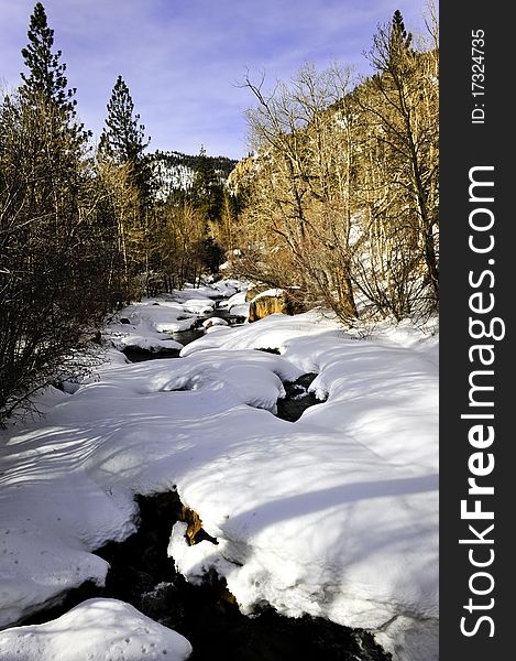 A snowy creek with red aspens in New Mexico. A snowy creek with red aspens in New Mexico