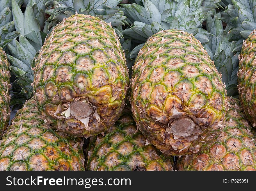 Close-up shot of a bunch of pineapples.