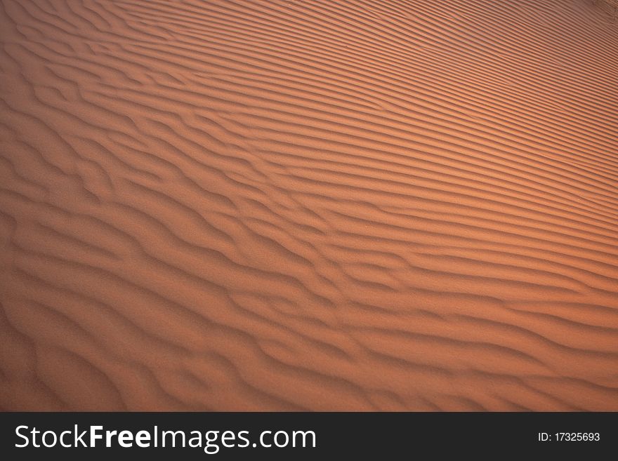 The sand dunes in the eastern desert