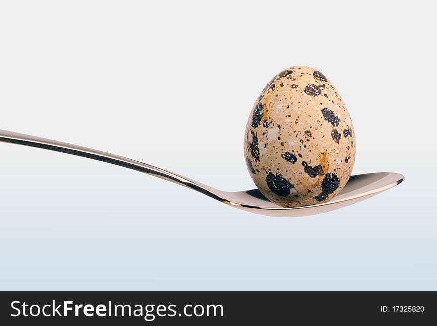 Egg in the spoon