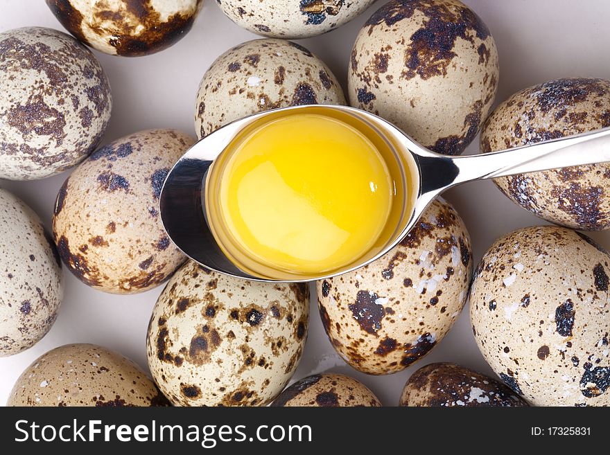 Egg Yolk In Spoon