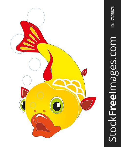 Gold fish on white background