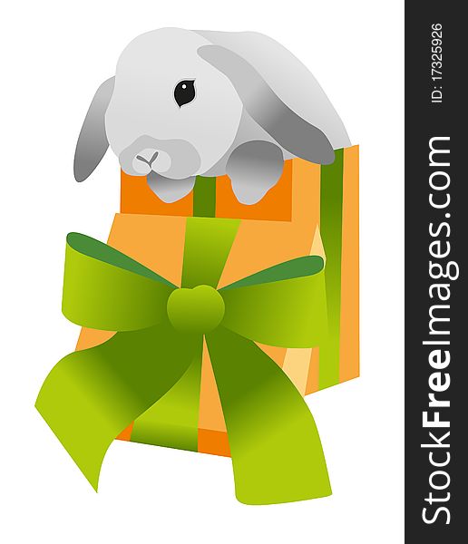 Rabbit And Gift