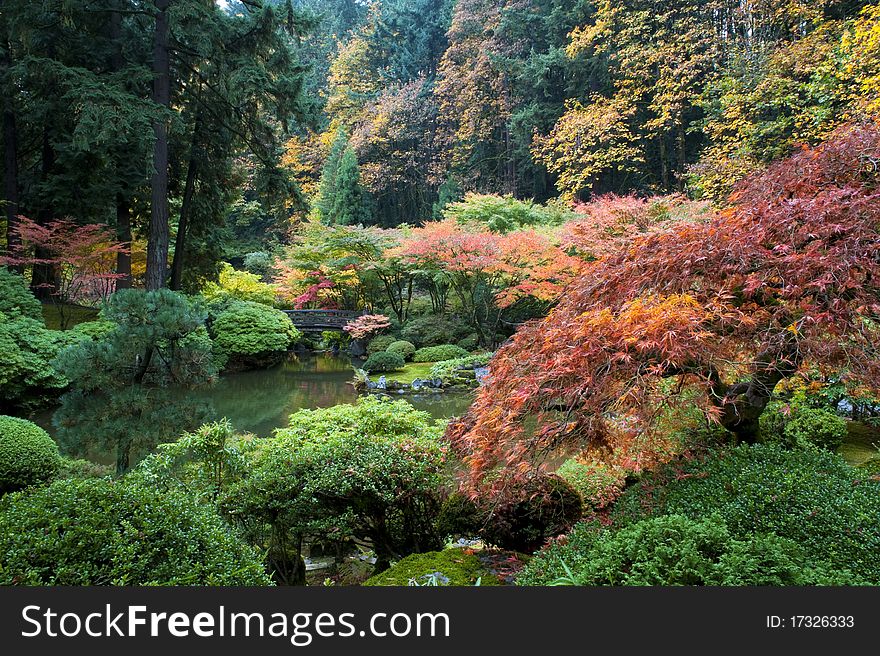 Wooden Bridge, Japanese Garden