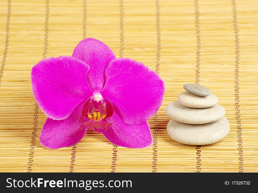 Pink orchid and stones on the wood background