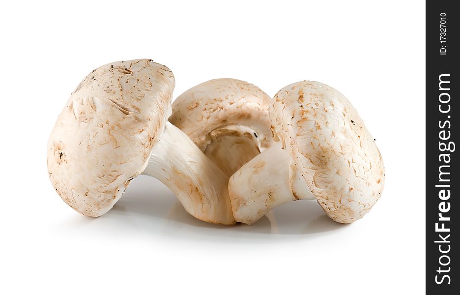 Three champignons mushroom isolated on a white. Three champignons mushroom isolated on a white