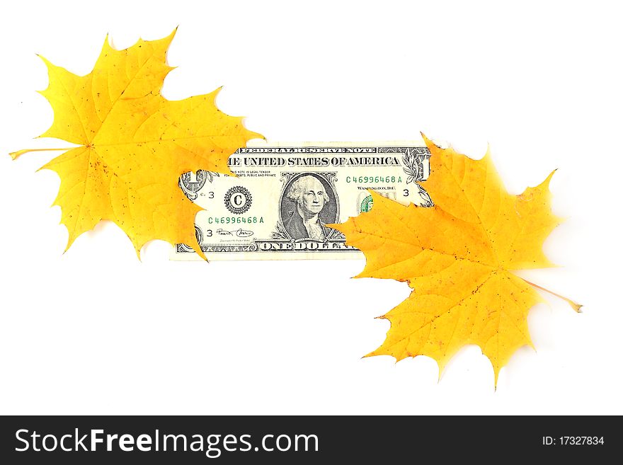 Dollar and yelow leaves