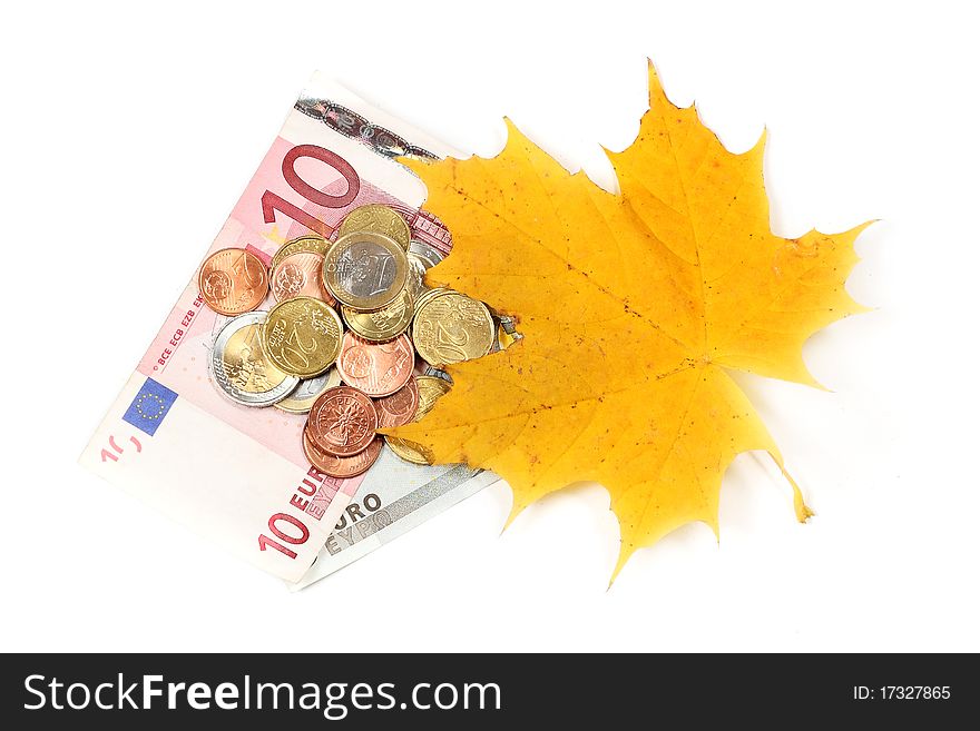 Euro money and yellow leaves