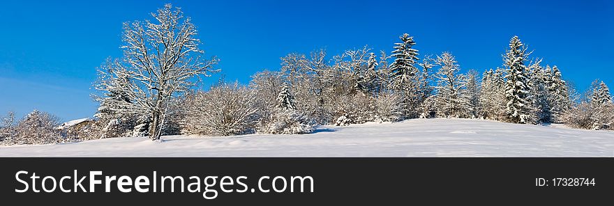 Panoramic Winter Landscape XXL 34MP