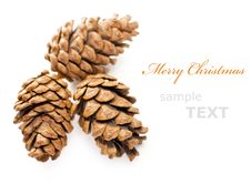 Three Christmas Cones Royalty Free Stock Image Three Christmas Cones Royalty Free Stock Image