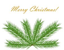 Christmas Fir Royalty Free Stock Images Christmas Fir Royalty Free Stock Images