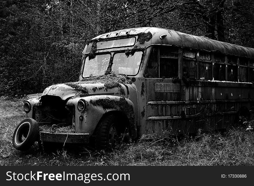 An abandoned run down overgrown bus. An abandoned run down overgrown bus