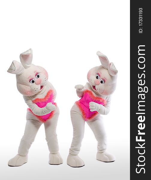 Two bunny girl mascot costume play