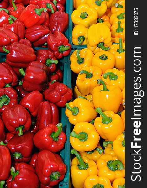 Colorful bunch of fresh Red and Yellow Peppers.