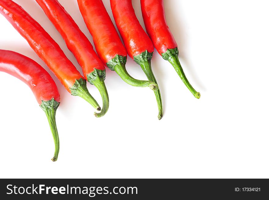 Red hot chili peppers isolated on white background. Red hot chili peppers isolated on white background