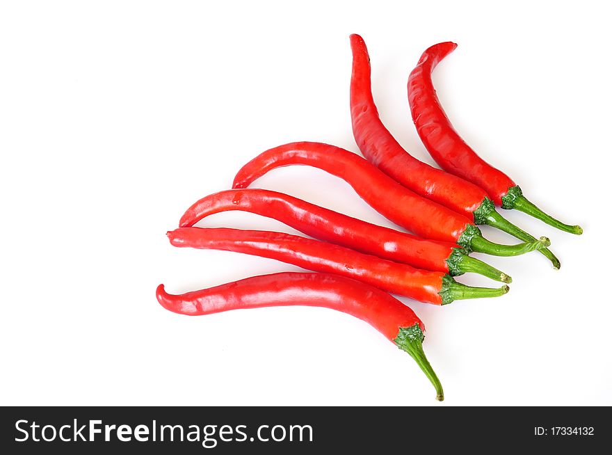 Red hot chilies isolated on white. Red hot chilies isolated on white