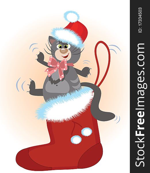 Grey cat in the Santa shoe