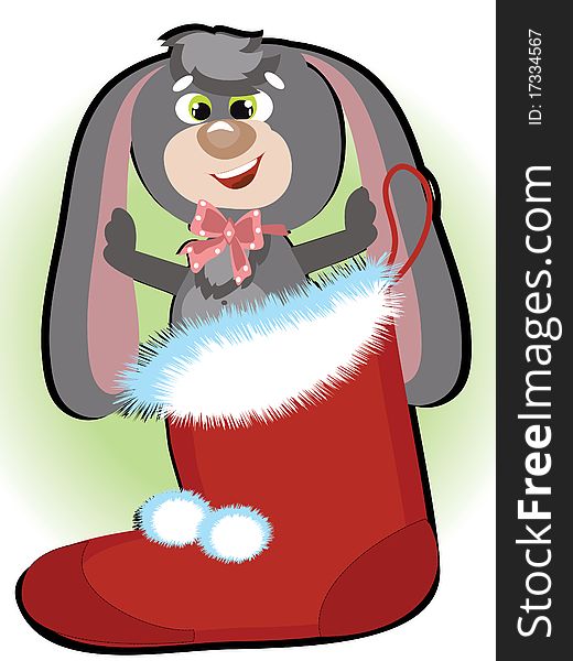 Rabbit in the Santa shoe