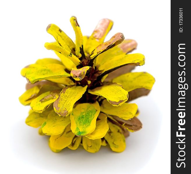 Pine cone painted in yellow paint isolated over white. Pine cone painted in yellow paint isolated over white.
