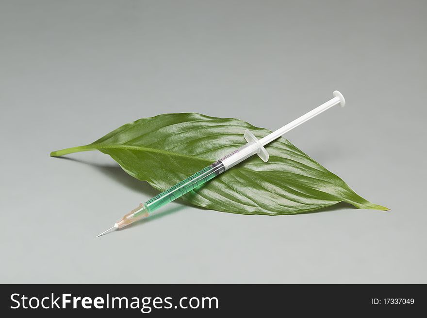 Syringe on a green leaf with green substance in it. Syringe on a green leaf with green substance in it