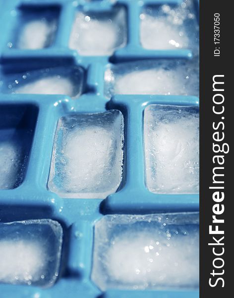 Many Icecubes in plastic form