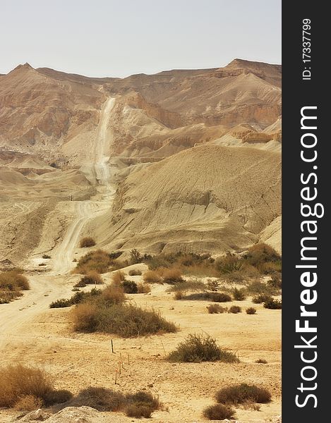 An image of a desert trail in the Negev Desert, Israel