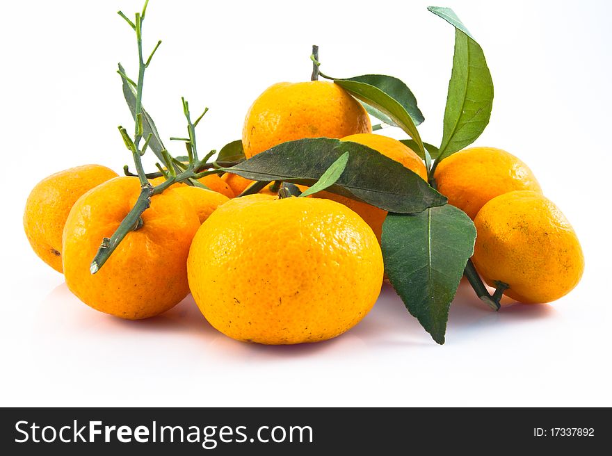 The oranges in white background