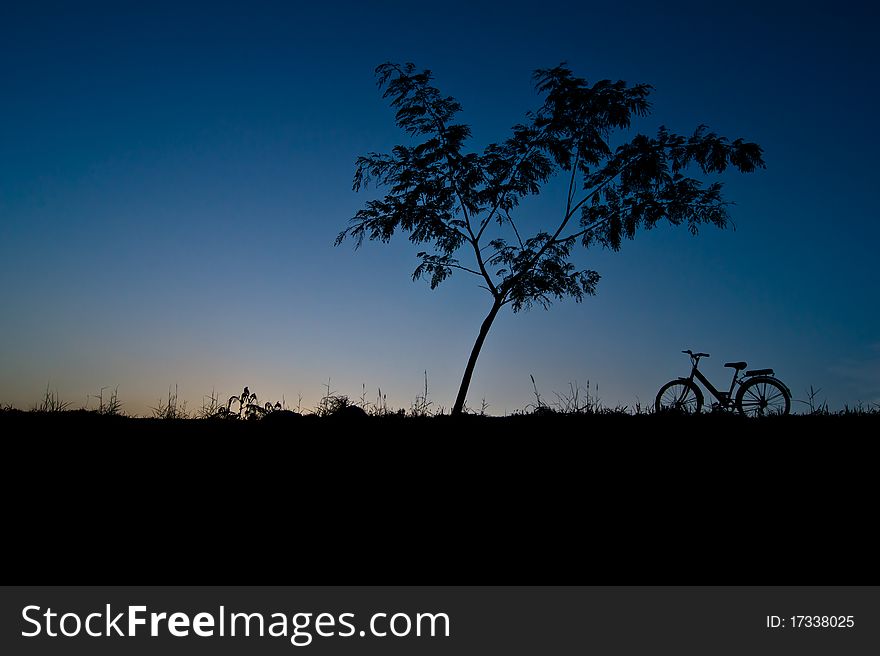 Silhouette tree and bicycle landscapes