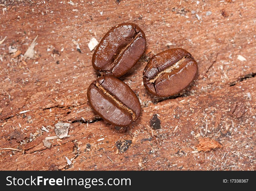 Three Coffee Beans On The Wood